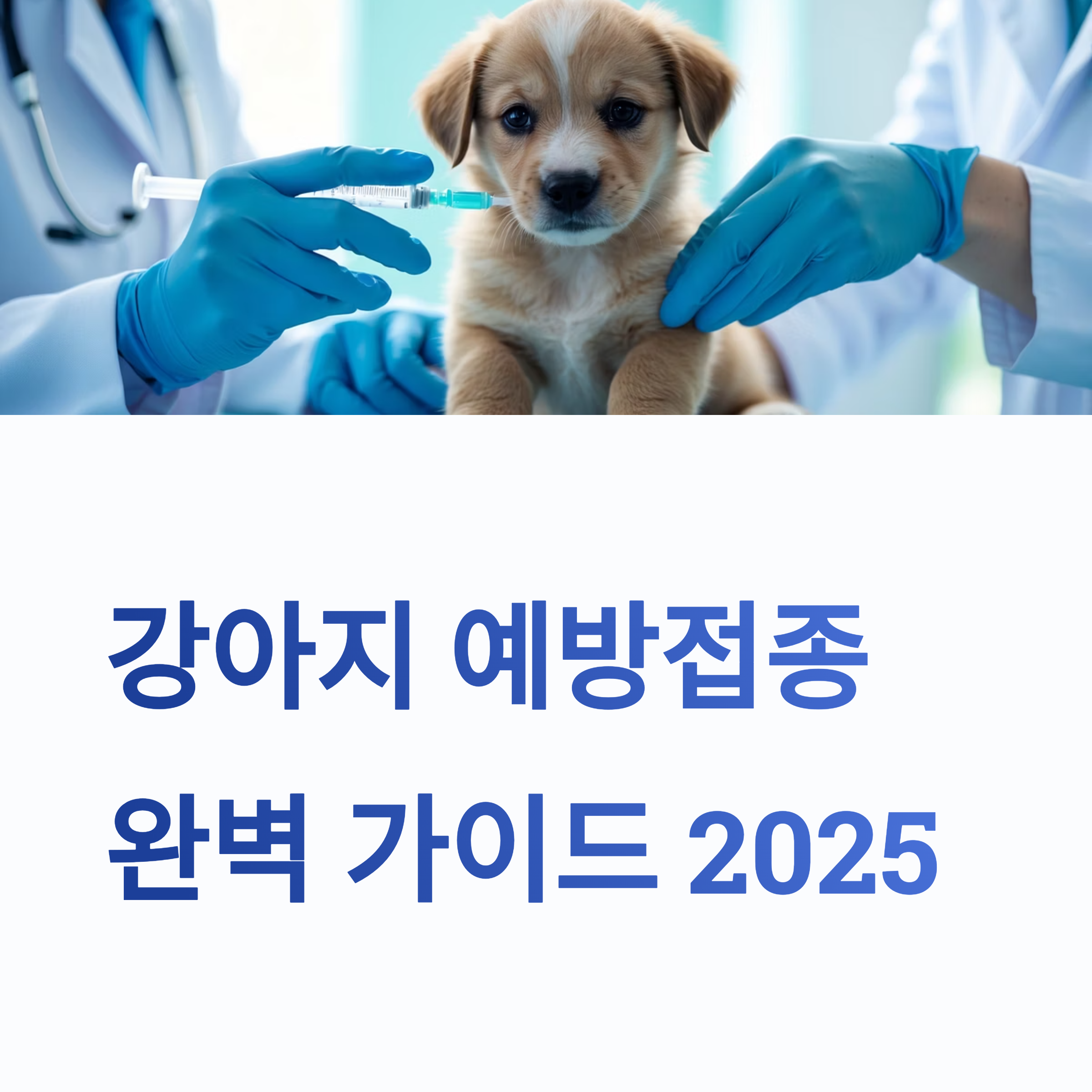 강아지 예방접종 순서와 시기 총정리 (2025 최신)