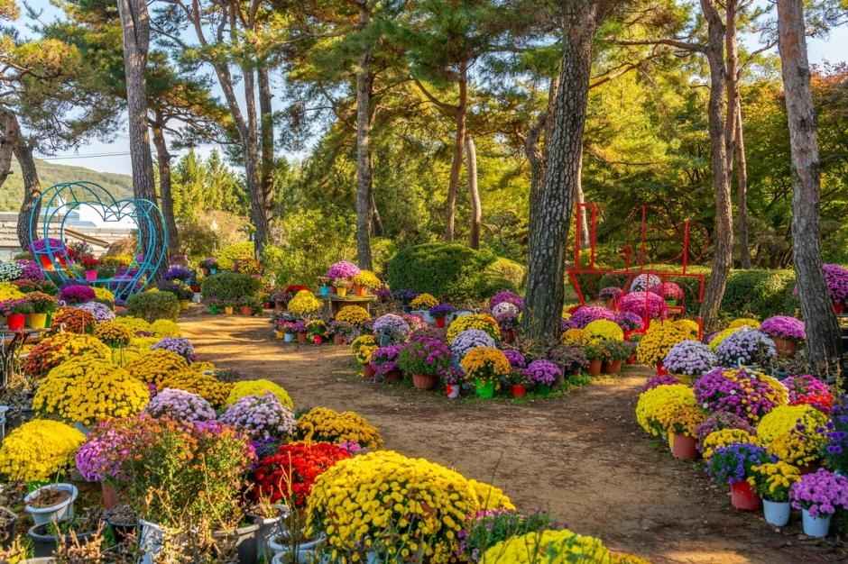 벽초지문화수목원