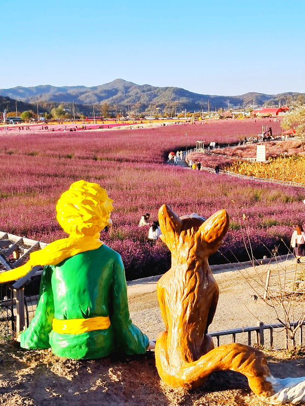 철원 고석정꽃밭 온천여행꿀팁