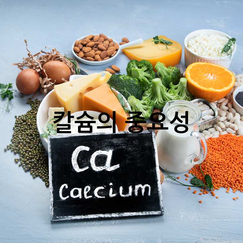 칼슘흡수를 도와주는 음식&amp;#44;흡수율 높이는방법