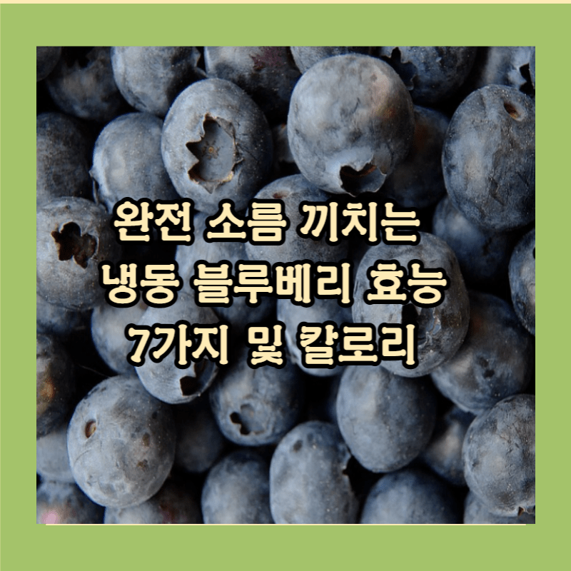블루베리 효능