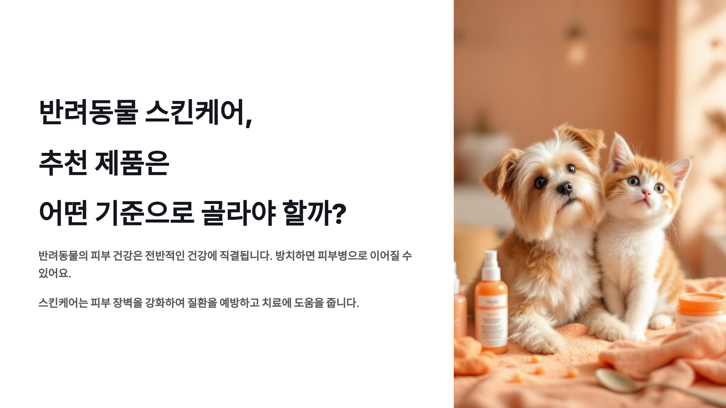 반려동물 스킨케어, 추천 제품은 어떤 기준으로 골라야 할까?