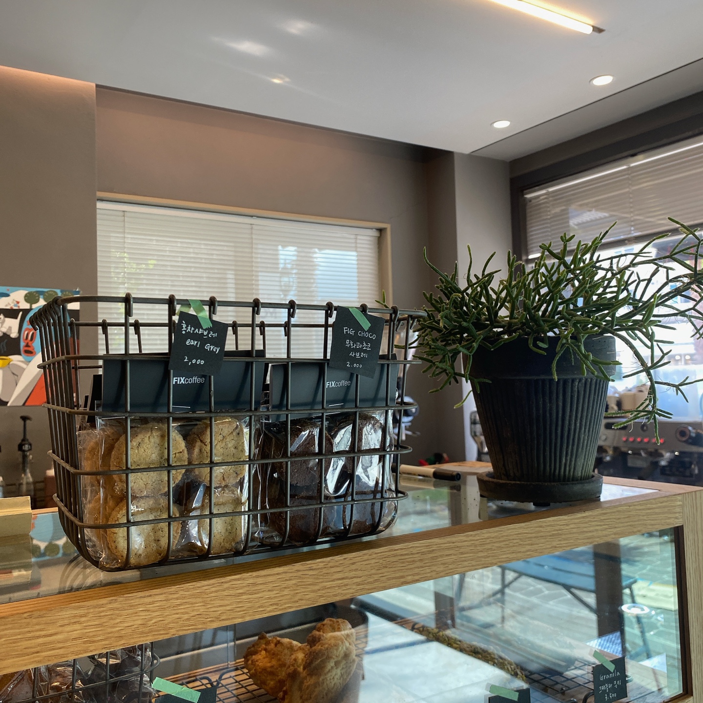 제주 산지천근처 아라동 제주도민카페 픽스커피[FIX Coffee]본점 리뷰 제주공항 맛집 카페 추천 주차장