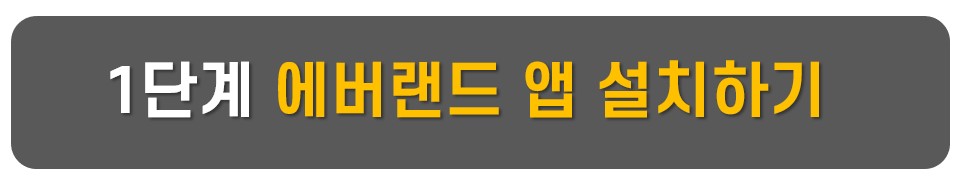 에버랜드 오후권 구매