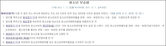 청소년 미성년자 숙박 부모님 동의서 양식 무료 다운 호텔 리조트 펜션 청소년 보호법 위반