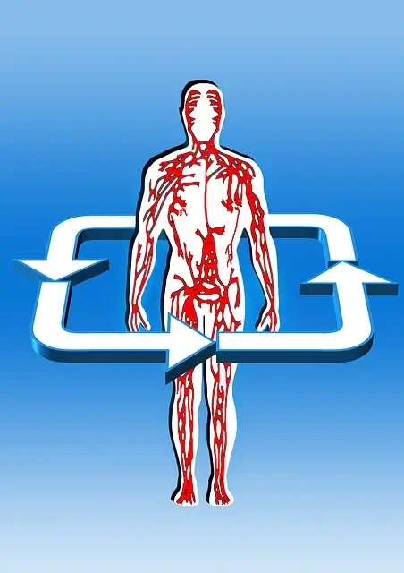 혈액검사로 알수있는 것, 질병과 종류