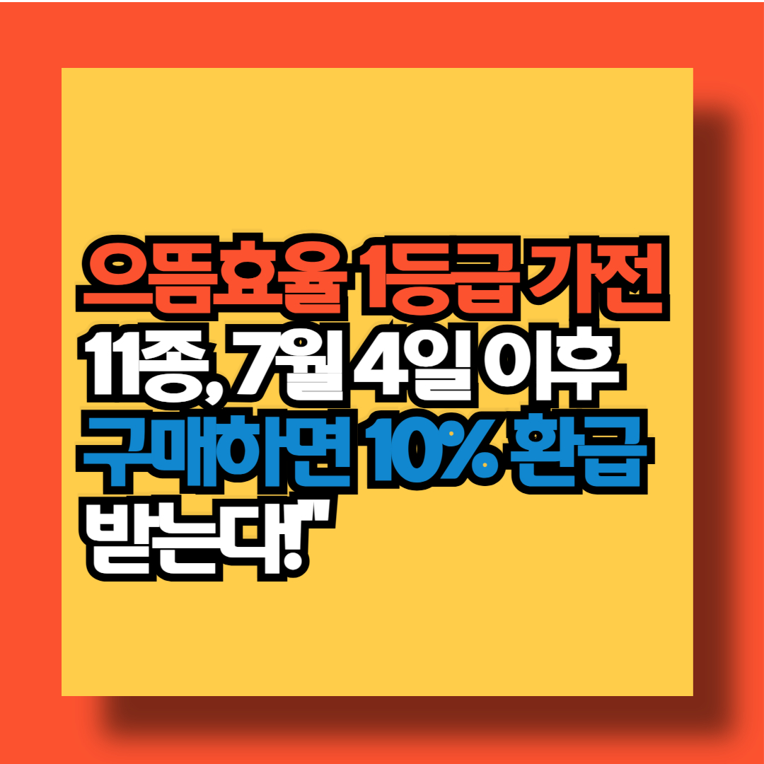 가전제품 10% 지원금 환급