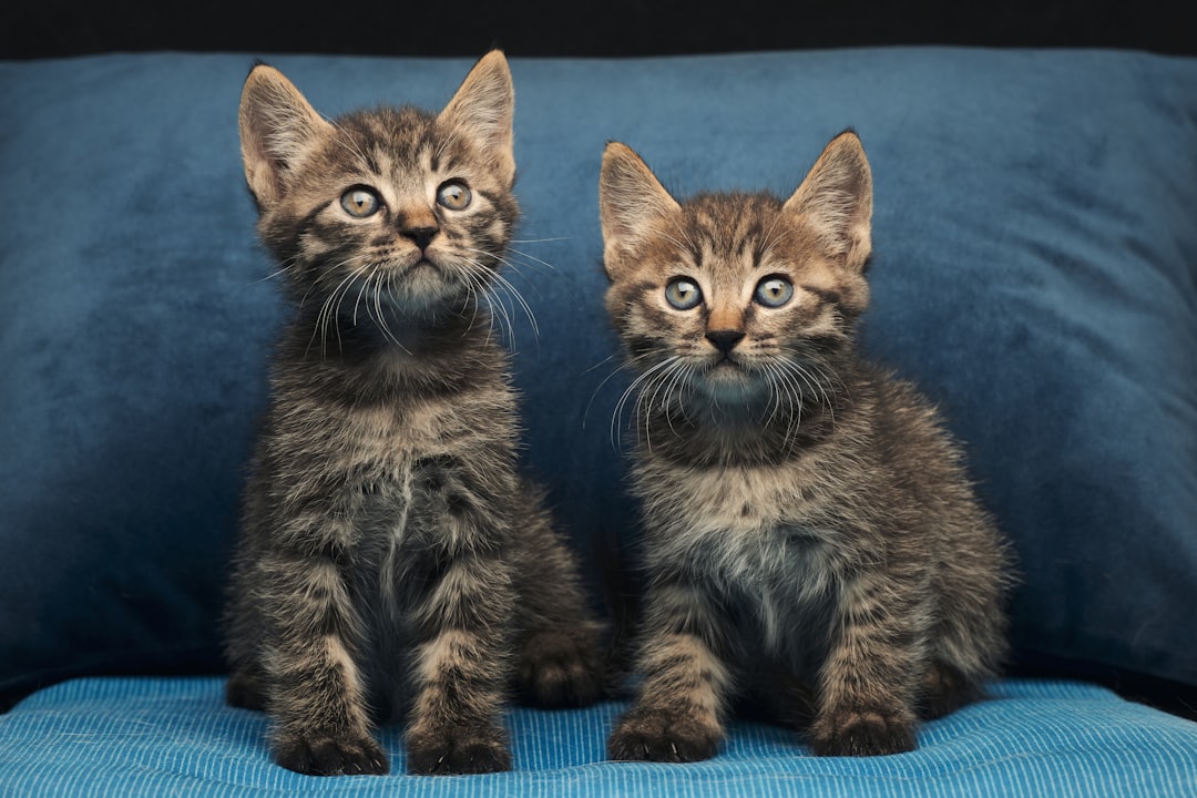 Triplets