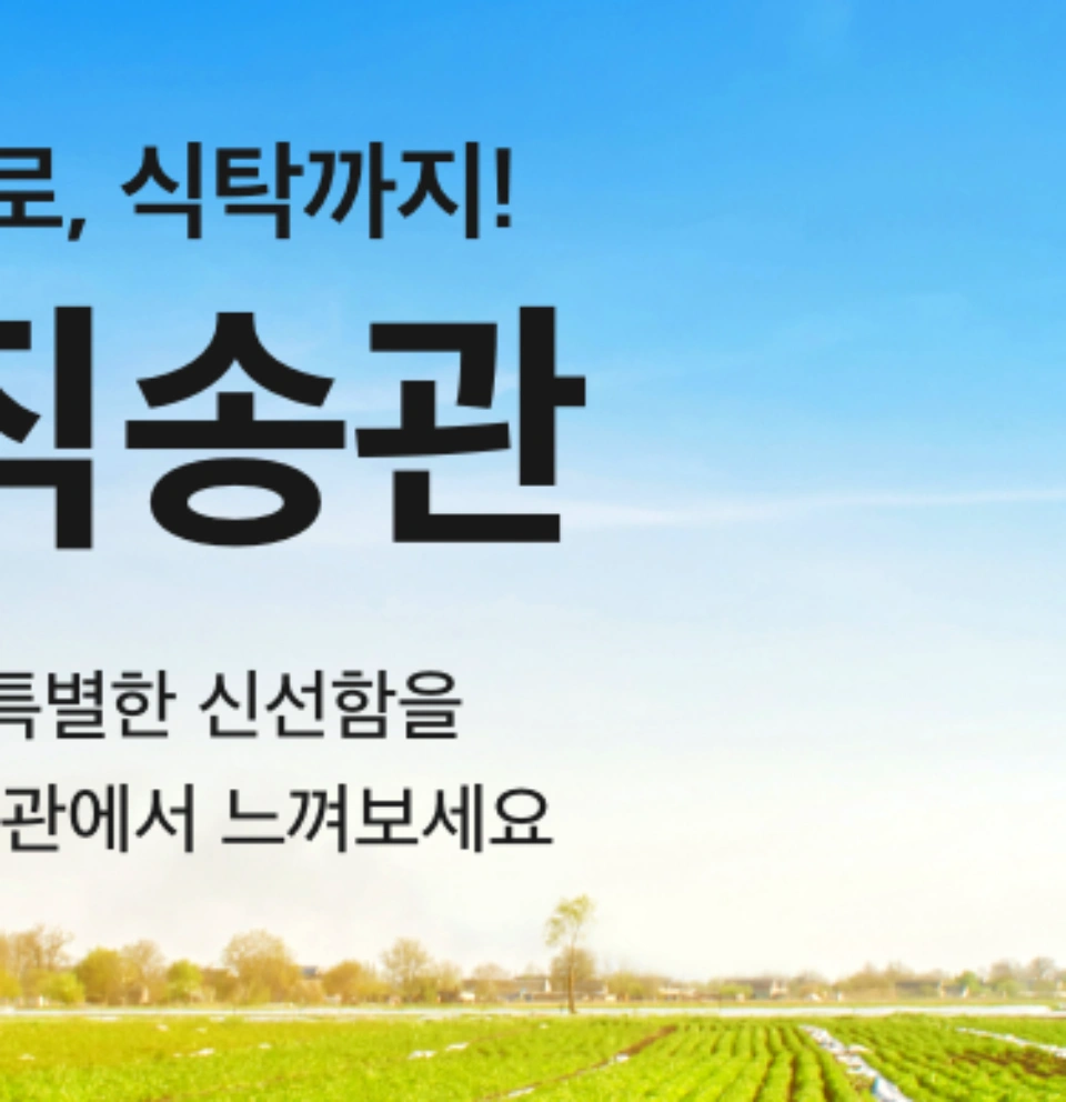 홈플러스-전단-행사-전단지