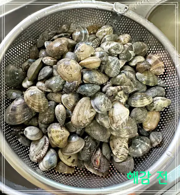 모시조개-해감-전