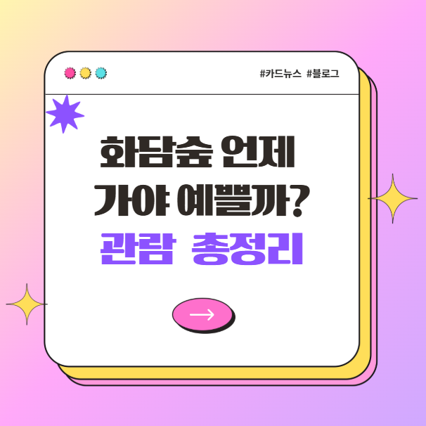 화담숲 언제 가야 예쁠까? 봄·여름·가을·겨울별 관람 포인트 총정리