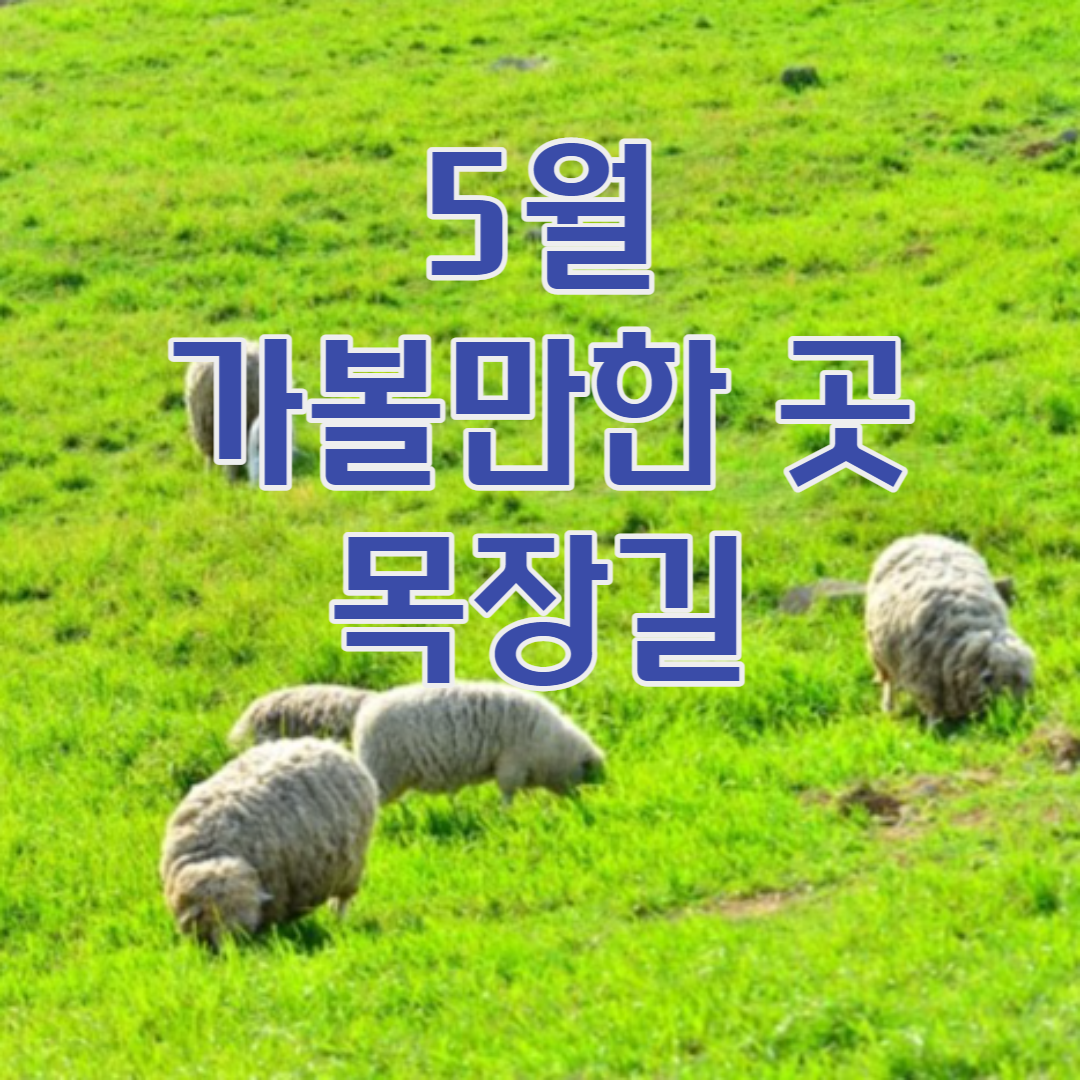 5월 가볼만한곳