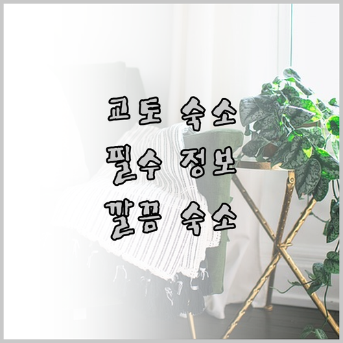 교토 여행 필수 숙소 정보! 위치, 