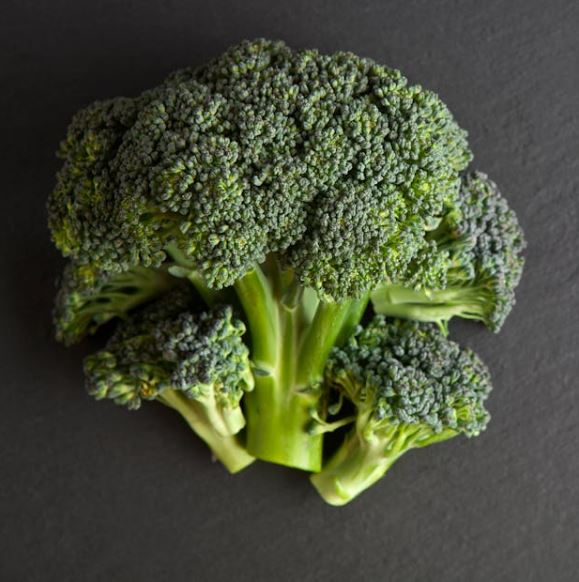 지방간에 좋은 음식 10가지