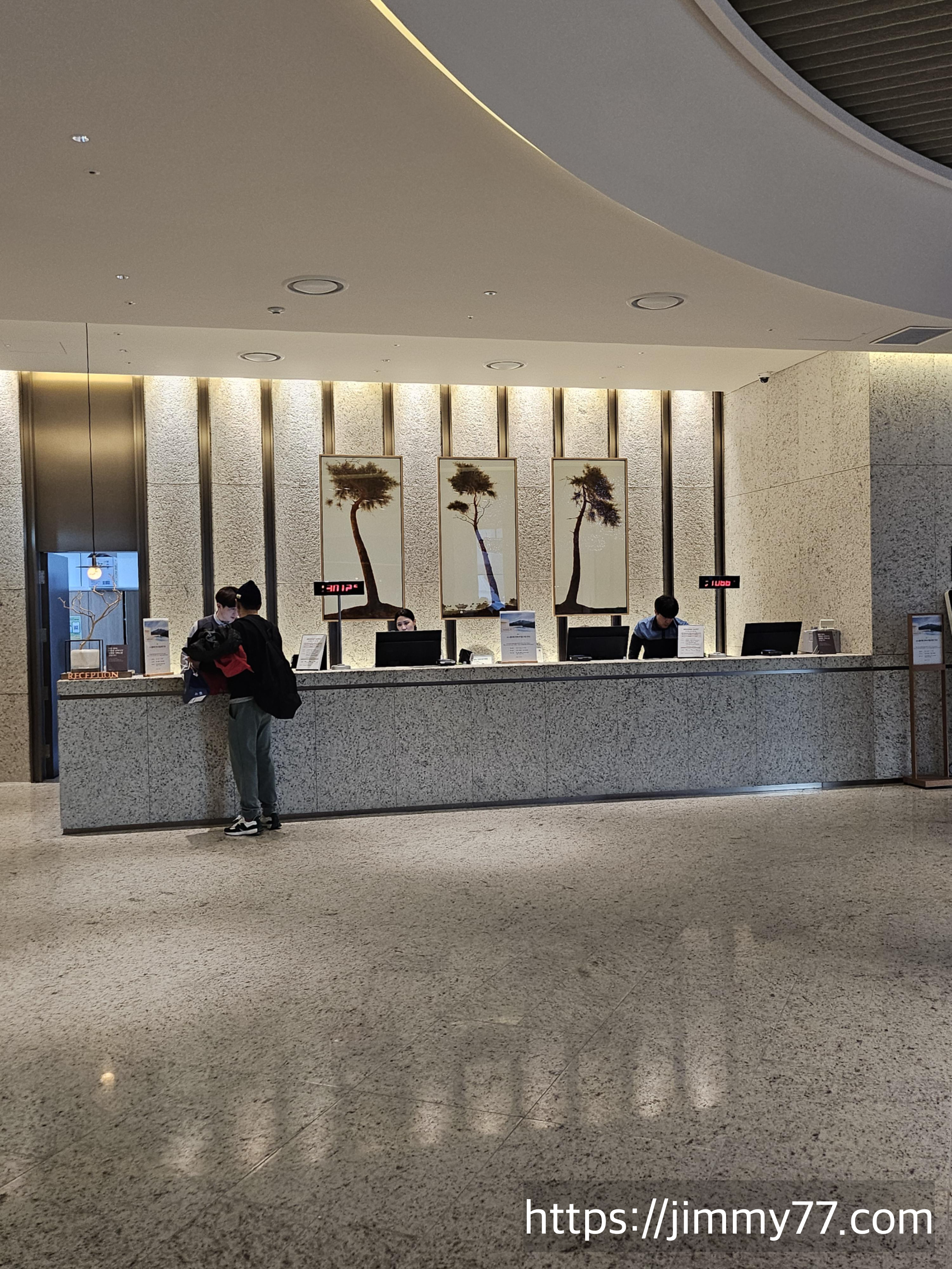 속초 델피노 소노펠리체