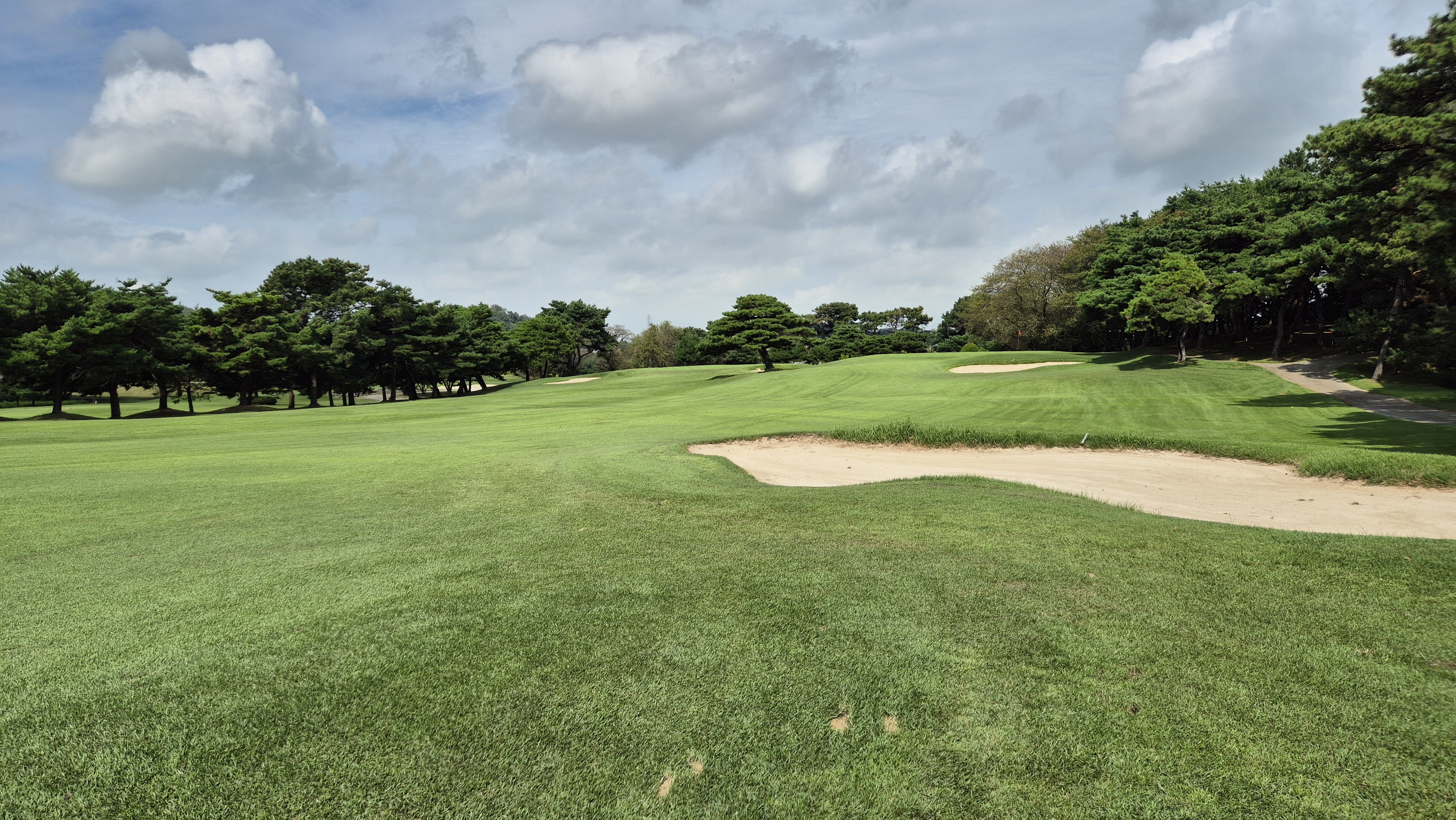 도고cc 코스 사진 및 공략 정보