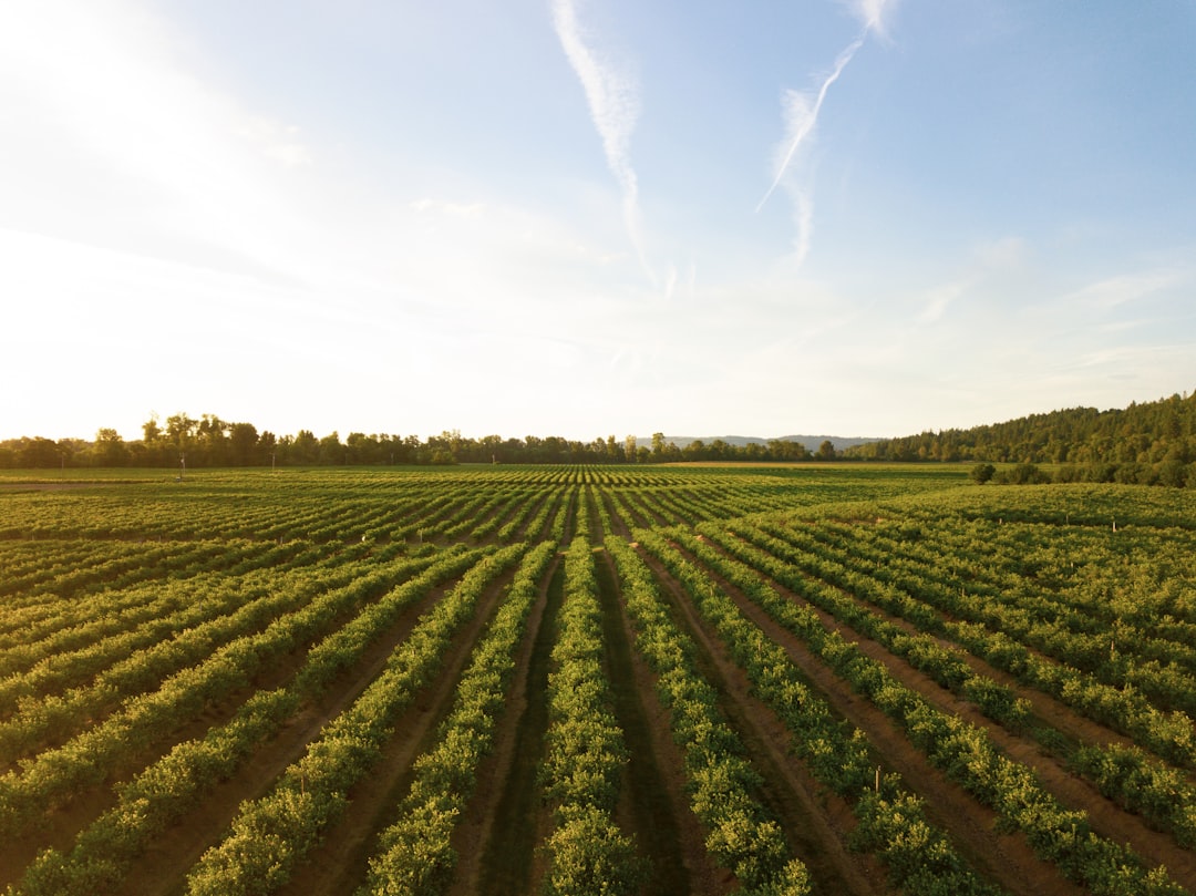Agriculture.
