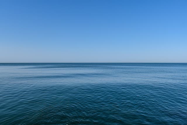 해양 양식업의 미래: 육지가 아닌 바다에서 농사를 짓는 시대