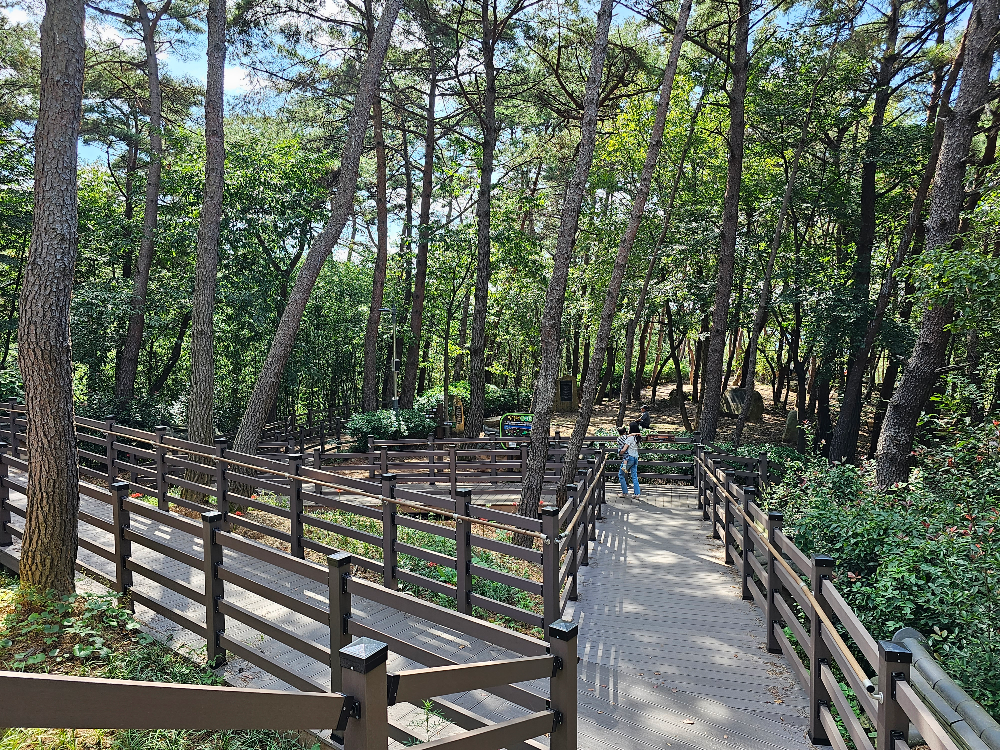 임경대 가는길 2