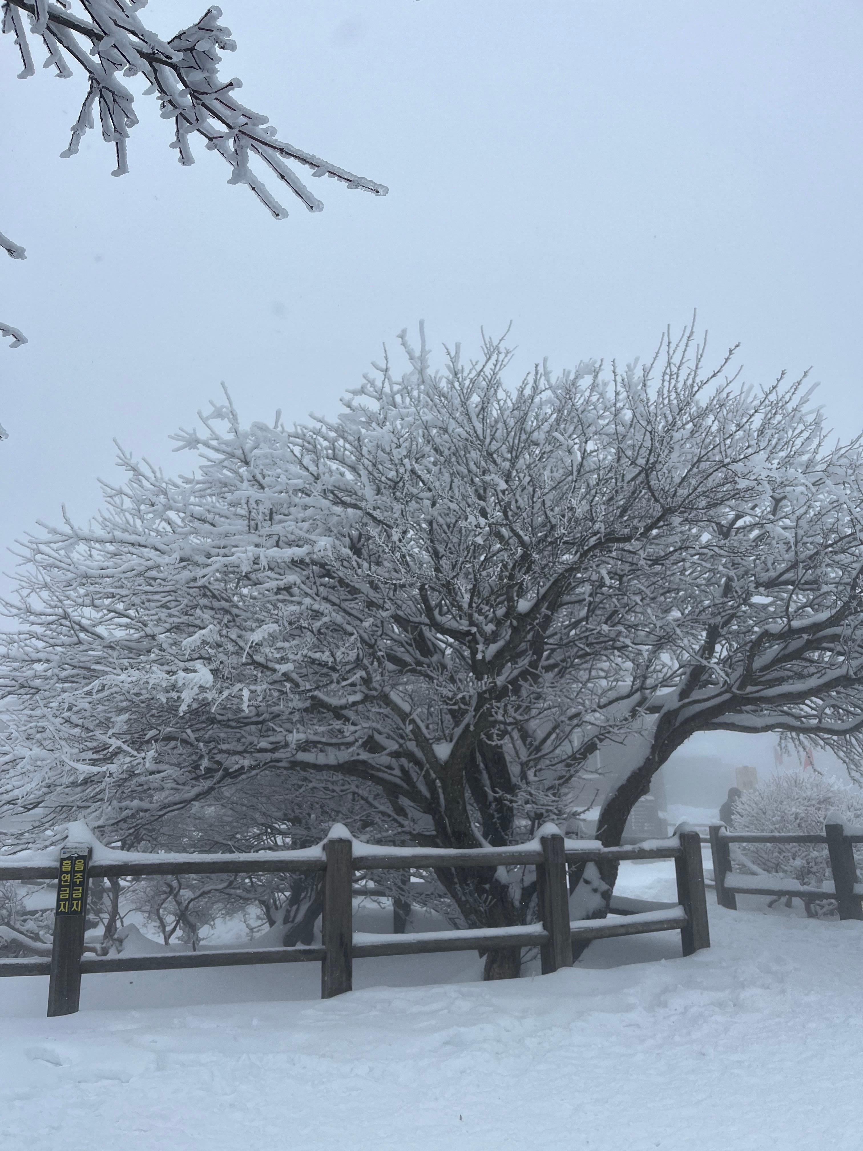 한라산 사진