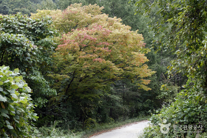 영주 가볼만한곳 베스트10