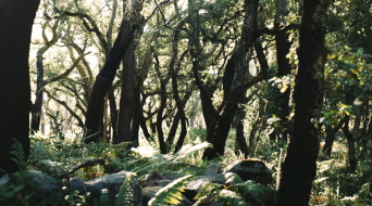 임업직불금 의무교육 신청