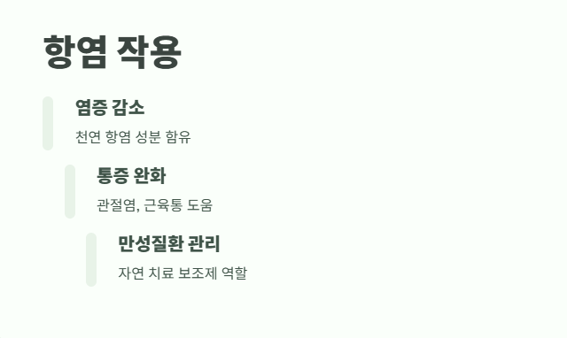 보리수 열매 효능 쉽게 정리 6