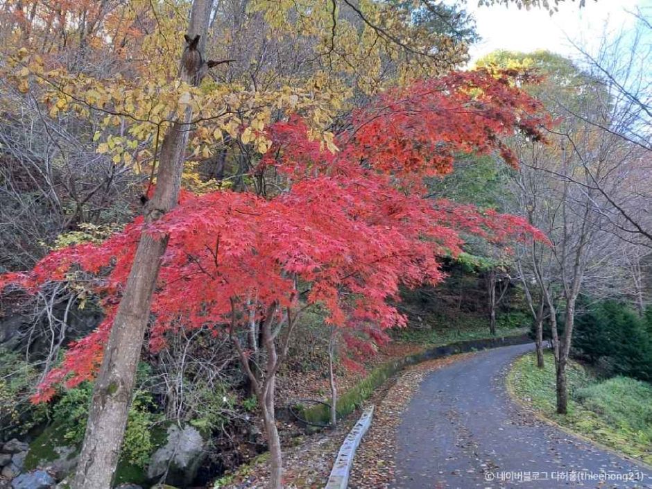 거창 가볼만한곳 베스트10