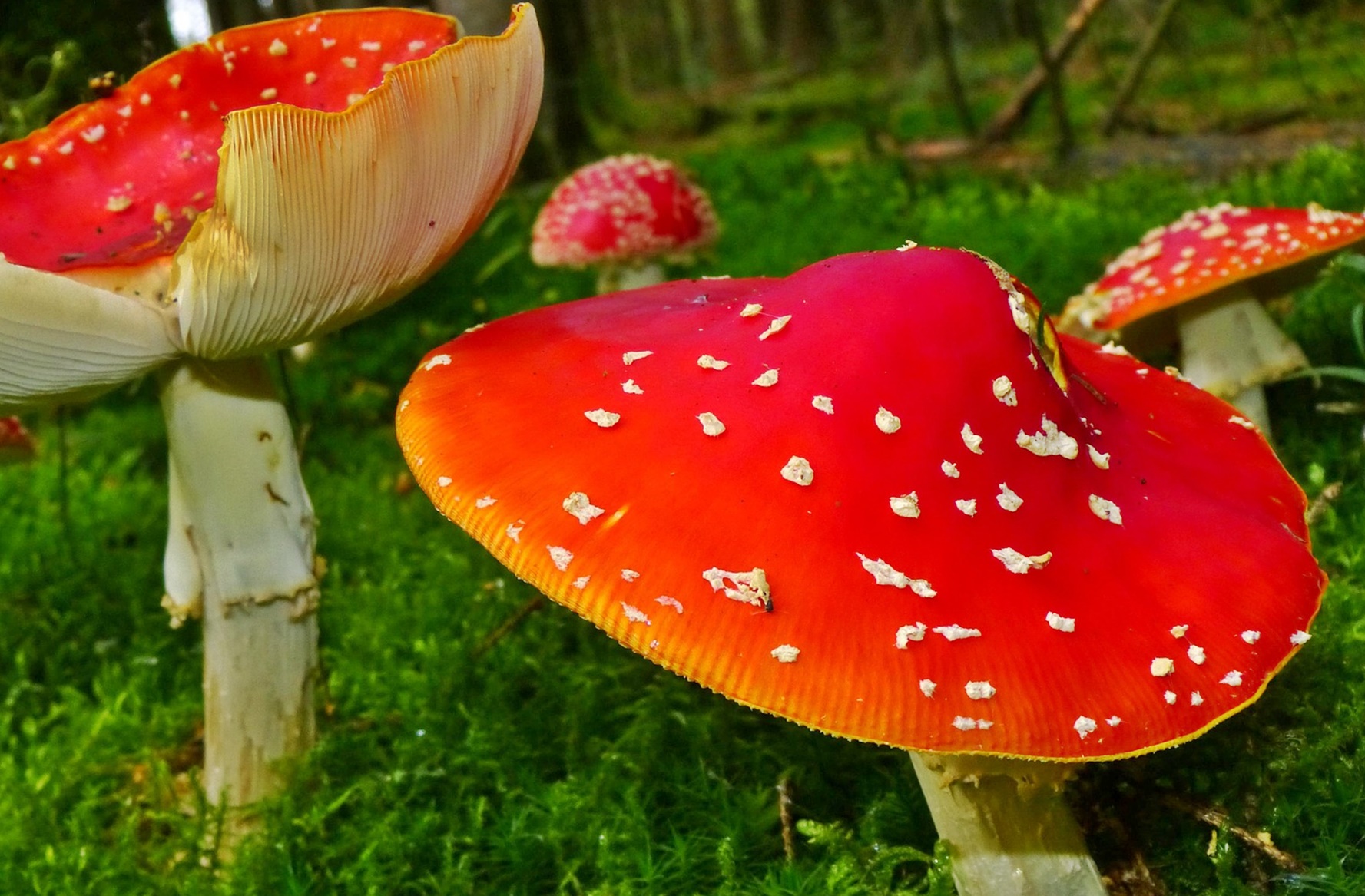 행복해지려 애쓰지 않을수록 삶이 편해지는 이유!