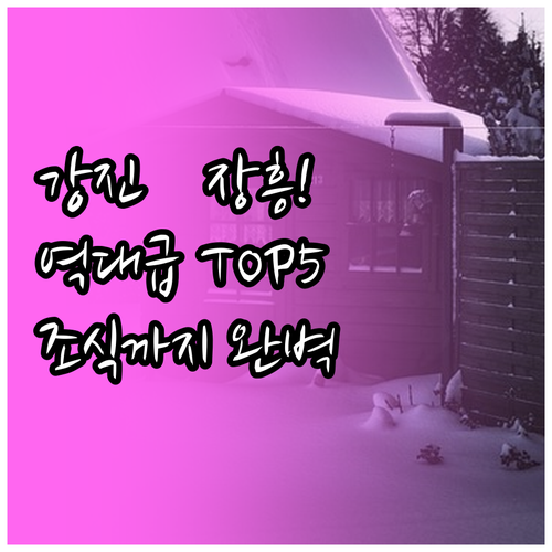 전남 강진 장흥 숙소 추천 TOP 5..