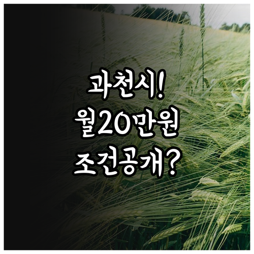 과천시 청년월세지원, 월 최대 20만..