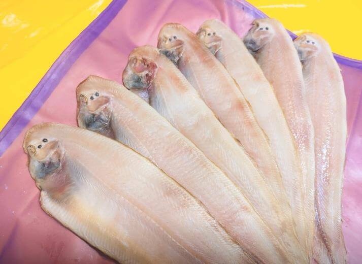 6시내고향 서천수산물특화시장 박대