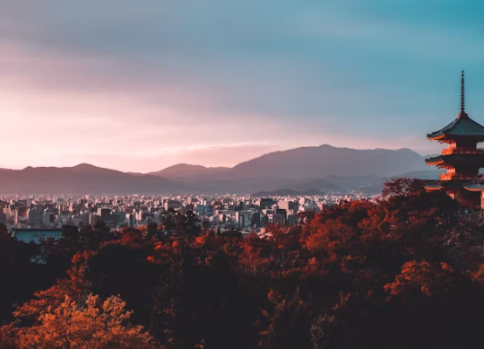 일본 입국신고서 작성법