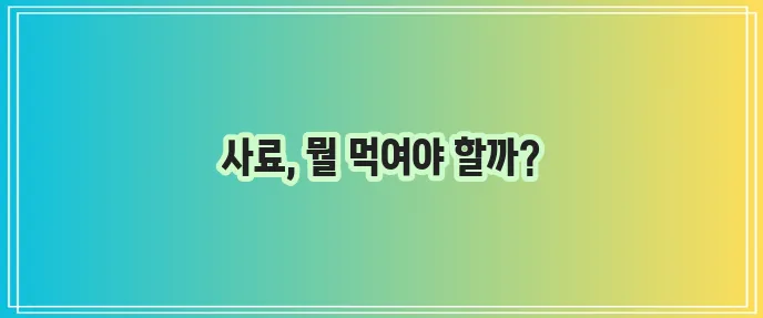 고양이 사료 주재료별 장단점 비교 건강한 선택이 중요합니다