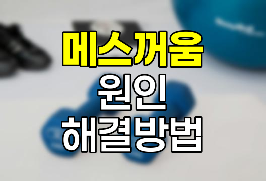 속이 메스껍고 토할 듯한 느낌의 원인과 해결 방법
