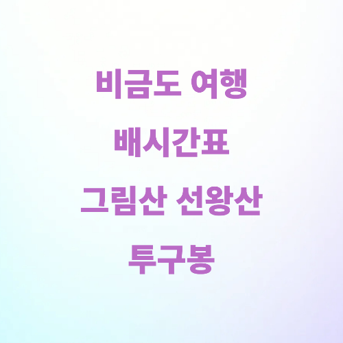 비금도 여행 사진