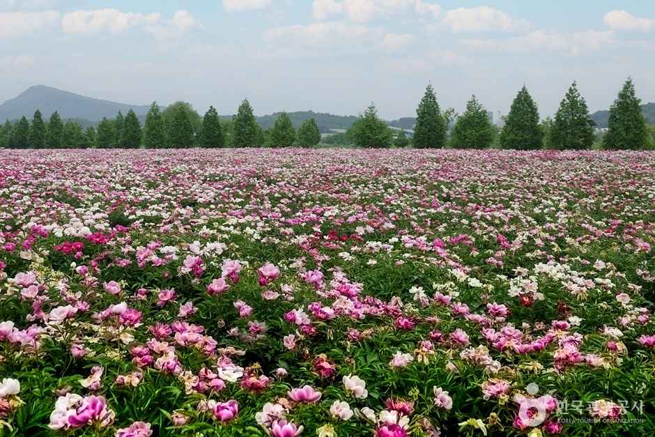 핫들생태공원