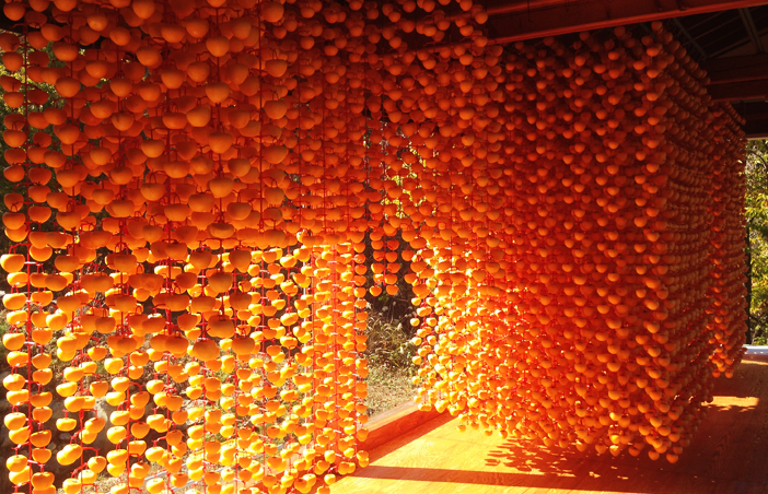 누리는 농부 곶감