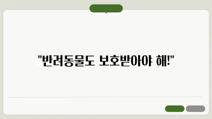 반려동물 보험 비교, 가성비 좋은 곳 추천 방법