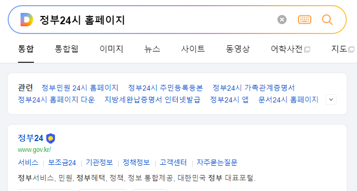 인터넷 포털 다음