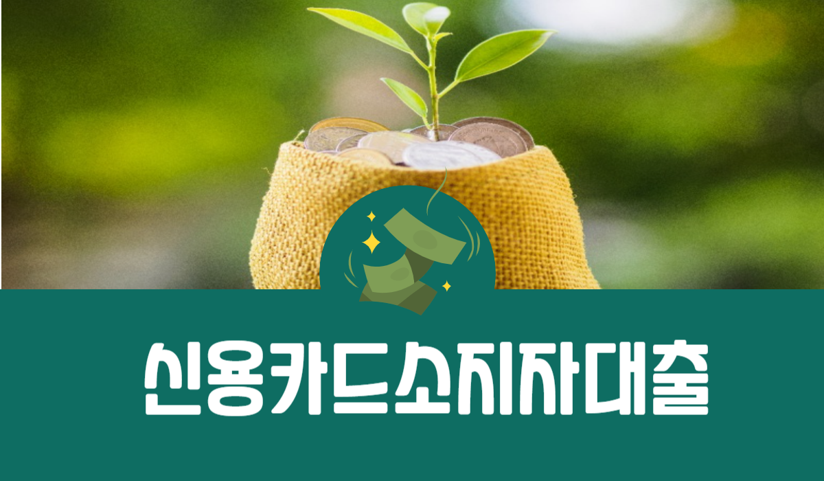 신용카드 소지자 대출