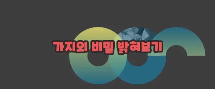 가지 효능 부작용 섭취방법 알아볼게요