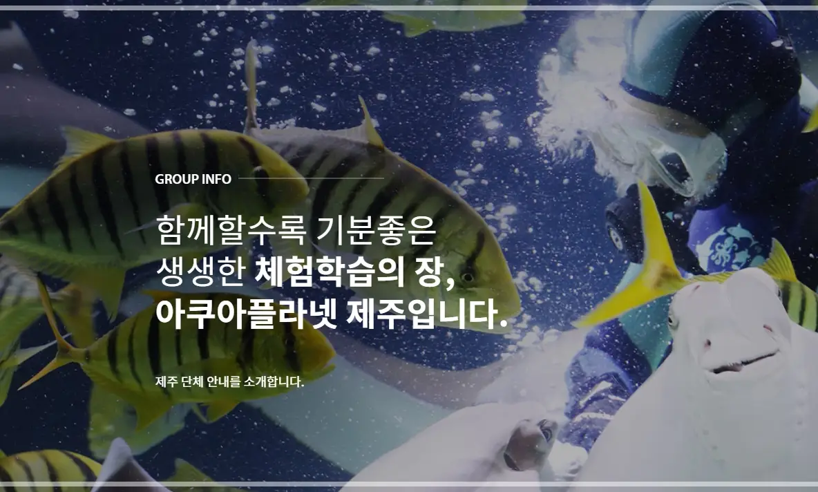 제주-아쿠아플라넷-가격-입장료-할인-영업-시간