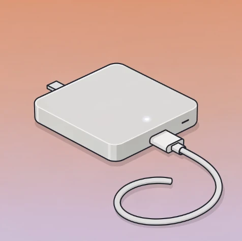 외장하드 백업 예시 일러스트