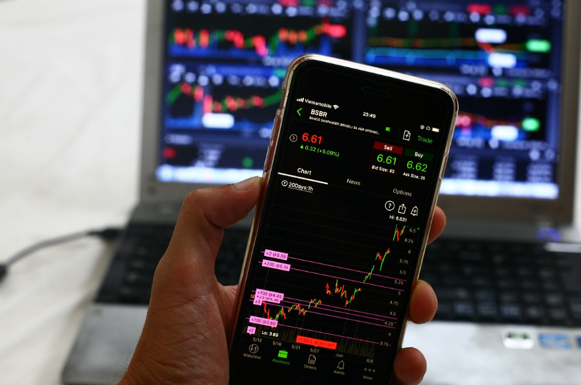 '녹색 채권&rsquo;으로 동물을 보호할 수 있을까? &ndash; 자연 보호 프로젝트에 투자하는 새로운 금융 방식