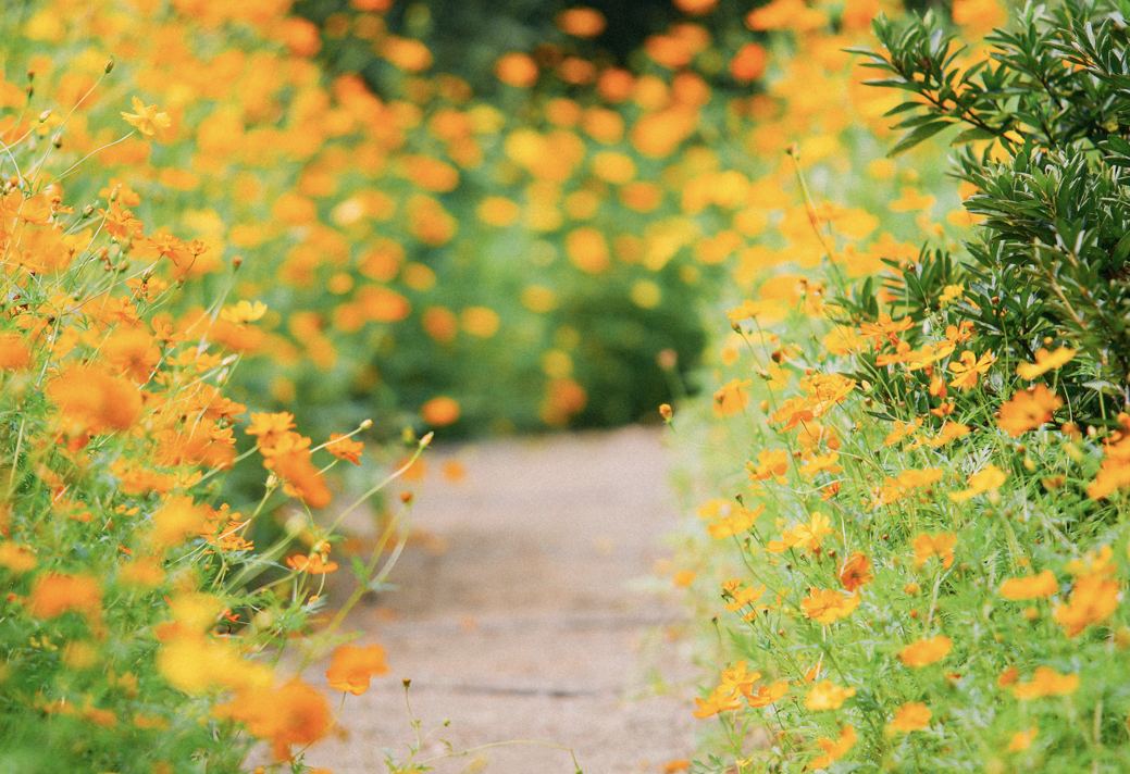 베어트리파크 사진