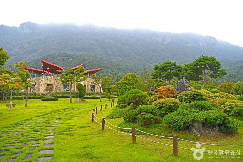 정읍 가볼만한곳 베스트 10