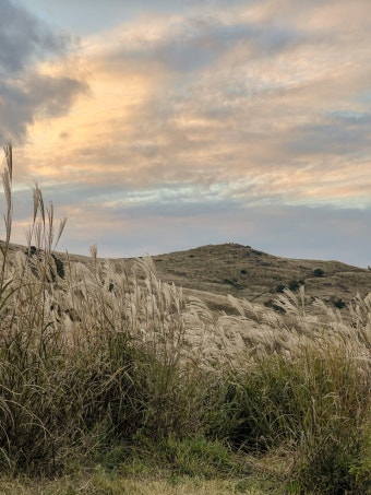 황매산 억새축제
