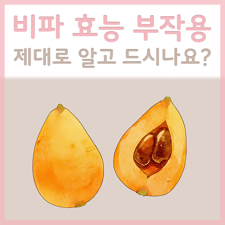 비파