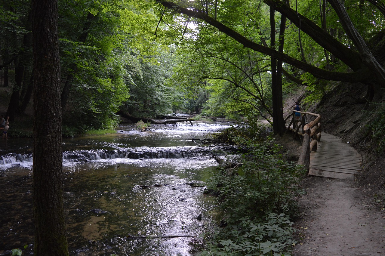 진드기 전염 예방법